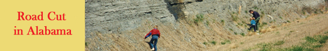 AL roadcut